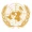 United Nations emblem