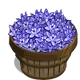 Spring Squill Bushel-icon
