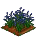 Bluebell extra100