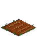 Barley 00