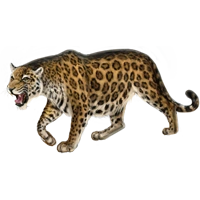 Huge item amazonjaguar 01.png