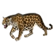 Item amazonjaguar 01