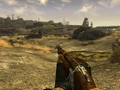 Caravan shotgun 1.jpg