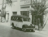 Tangalakis Stude