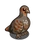 Gray Partridge