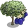 Damson Tree-icon