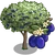 Damson Tree-icon.png