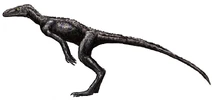 Marasuchus