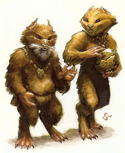 Drall especie.jpg