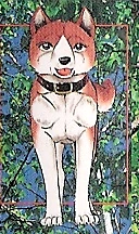Scan0036