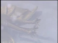 Episode2KingG04