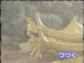 Godzillaislandstory0209