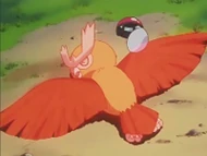 EP156 Noctowl capturado