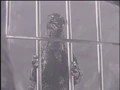 Godzillaislandstory0304