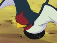 EP300 Taillow meditando
