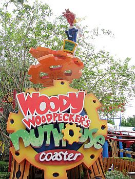 woody coaster