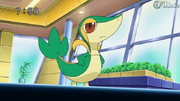 Snivy-pokemon-20318694-637-359