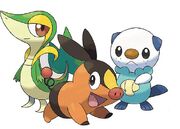 Pokemon-black-white-starter-names-snivy-tepig-ohawott