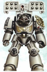 Terminator Veteran