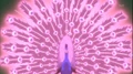 MFB Peacock