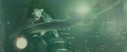 Hedwig's death