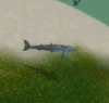 SlickbackRemora
