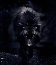 Werewolf