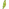 Medalla Élitro.png