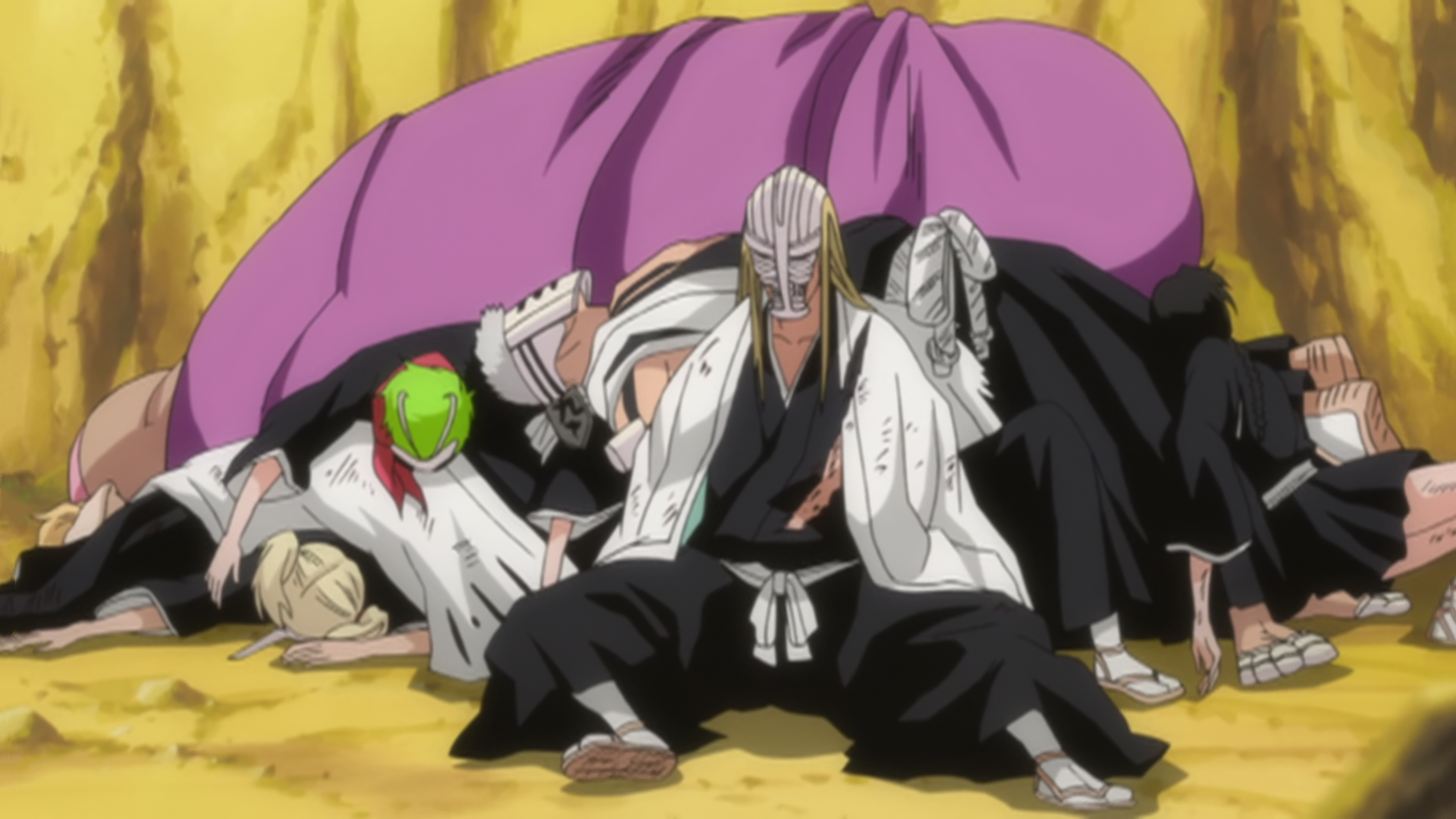 -http://images1.wikia.nocookie.net/__cb20110403213944/bleach/en/images/f/fd/Ep212VisoredGathered.png