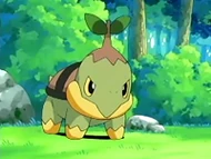 EP474 Turtwig (2)