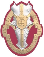 TBU GardehusarBrigade Insignia
