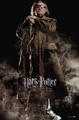 Goblet of fire poster (1).jpg