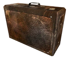Suitcase