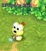 HKO Keroppis Papa9232.JPG