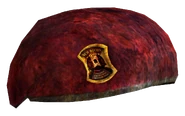 1st Recon beret