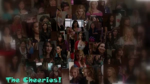 The cherrios collage