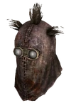 Raider Wastehound Helmet