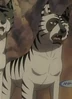 Buru