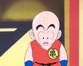 Krillin (young)