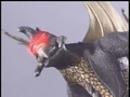 Episode05 Gigan09