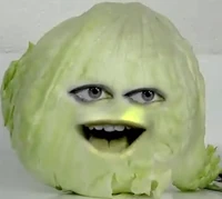 Olettuce