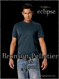 Bronson-jared-graphic