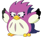 Coo1