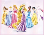 Accueilvisuelprincesse