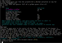 DartMUD screenshot