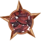 Cocoa Bean