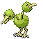 Doduo NB variocolor hembra