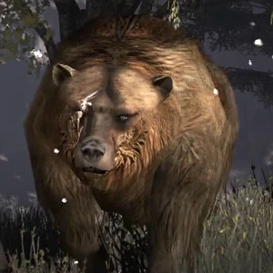 Rdr brumas bear