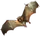 Item spidereater 01