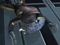 Galas.jpg